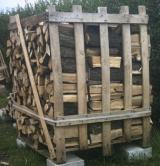 Bild zu Kaminholz Brennholz Feuerholz Eiche, kaminfertig gesgt, gespalten 
